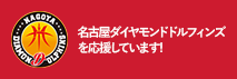 名古屋ダイヤモンドドルフィンズ