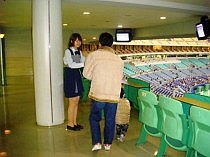 ナゴヤドームのお仕事 株式会社 スポーツ ティーチング クラブ ナゴヤドームのお仕事 株式会社 スポーツ ティーチング クラブ